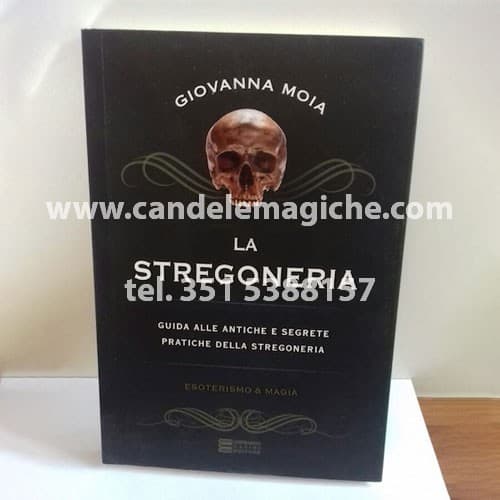 manuale di stegoneria