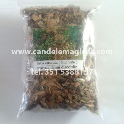 Erba Cuscuta – Allontana Nemici e Discordie